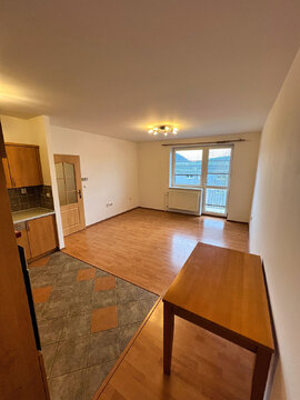 Pronájem bytu 2+1, Brno - Žabovřesky