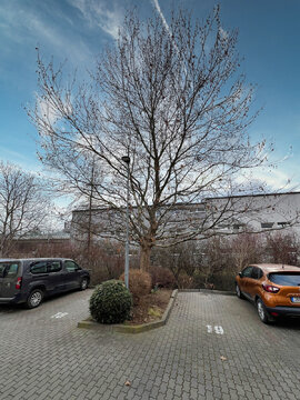 Pronájem bytu 2+1, Brno - Žabovřesky