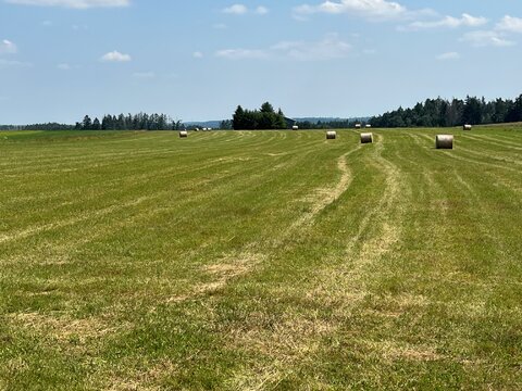 Pozemky s letištěm Borovník