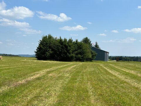 Pozemky s letištěm Borovník