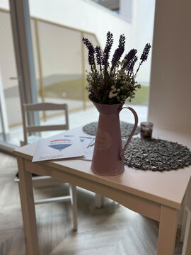 Pronájem bytu 1+kk s terasou na ulici Cejl